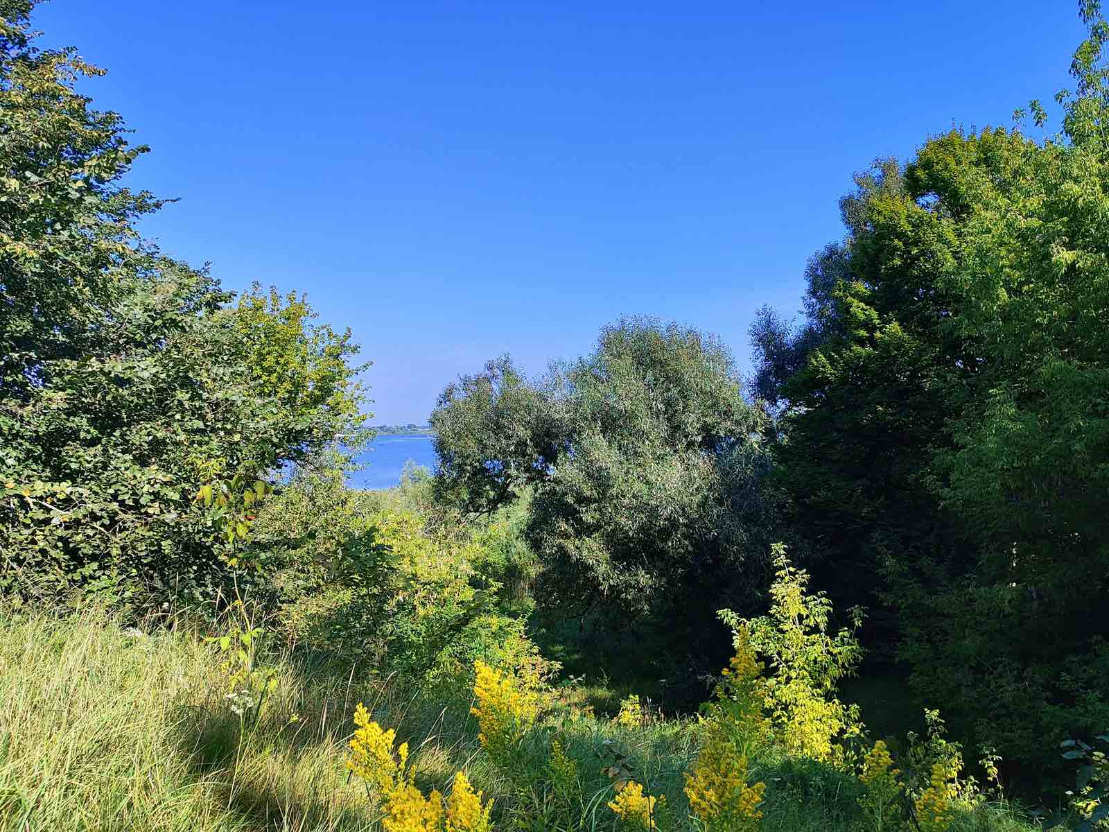 изображение viber 2025 06 05 16 08 27 049