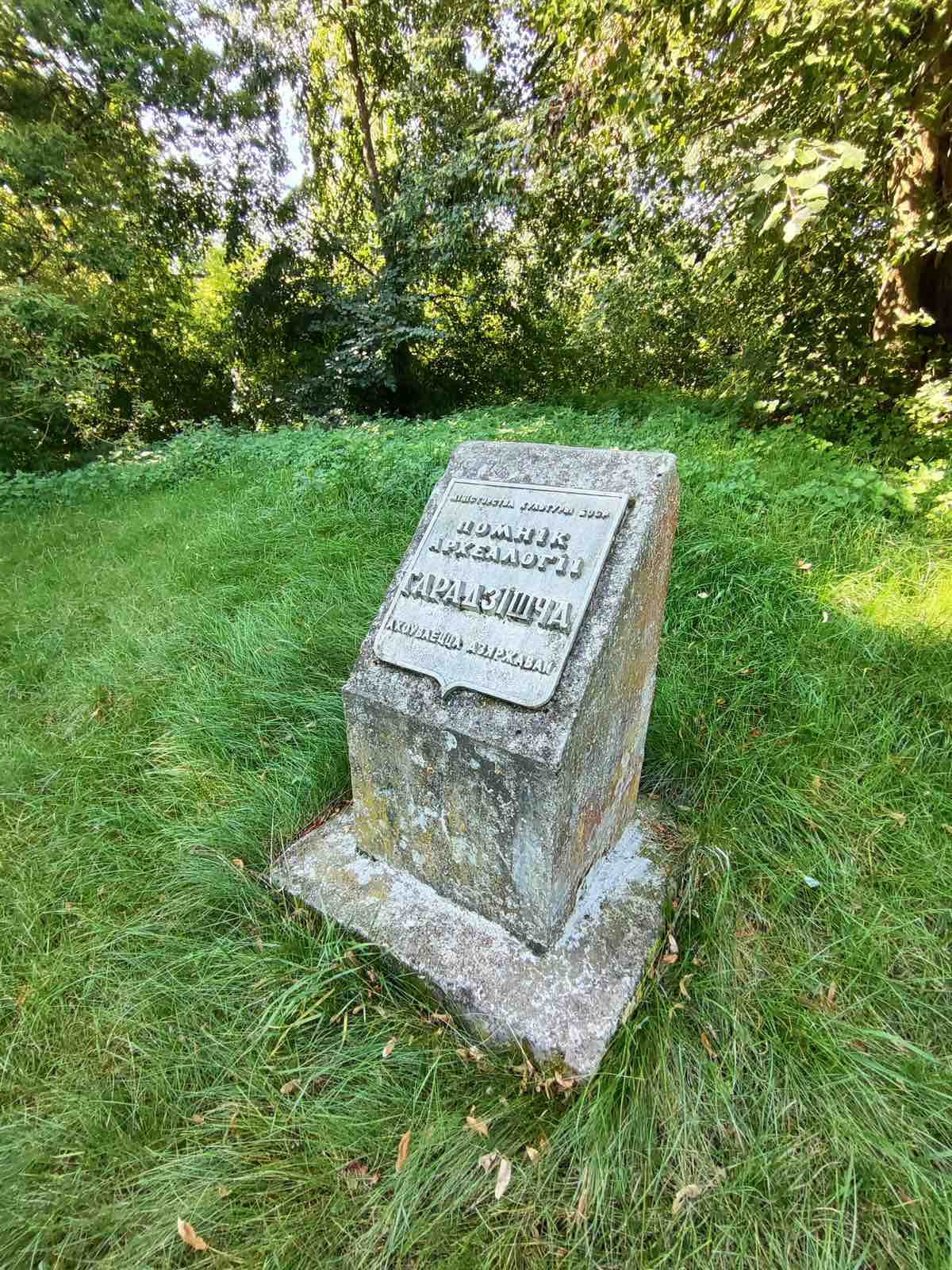 изображение viber 2025 06 05 16 08 27 371